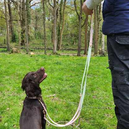 The Mabel Dog Lead Pastel Pink and Mint Green- modelled by dog