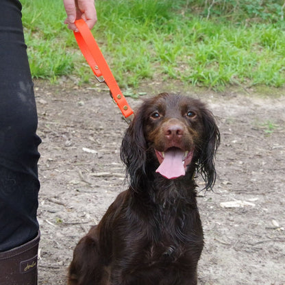 The Henry Traffic Handle Orange - Front modelled by dog