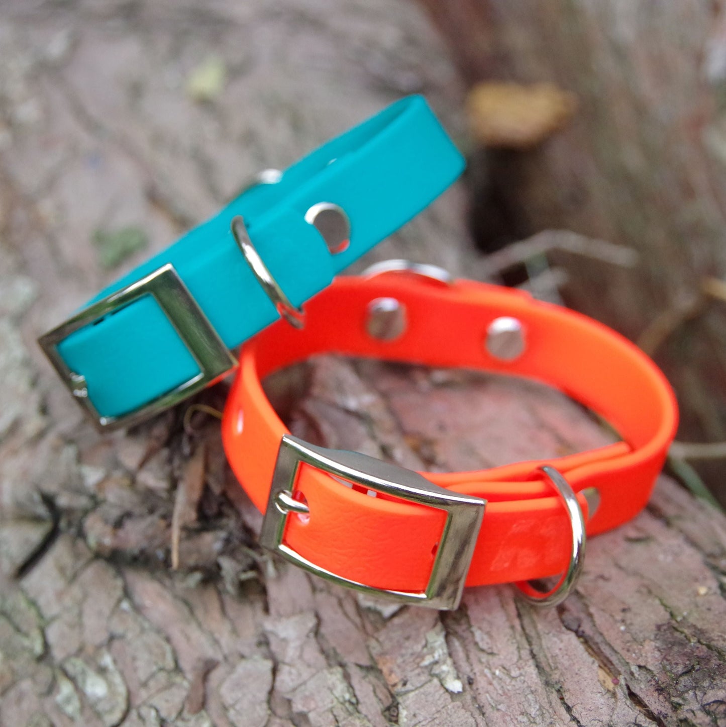 Hugo dog collar Orange and Aqua - Front