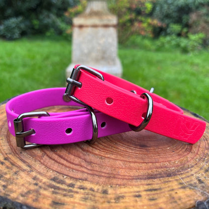 Hugo dog collar Bright Purple and Bright Pink - Front