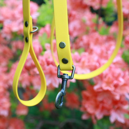 Hugo Dog Lead Yellow - handle and clasp