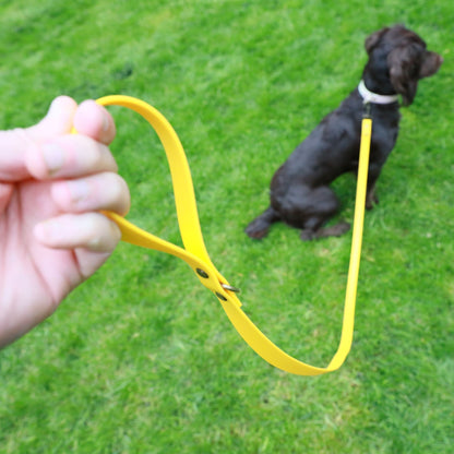 Hugo Dog Lead Yellow - handle and attached to dog