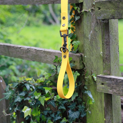 Hugo Dog Lead Yellow - handle and D ring 