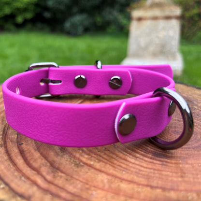 Hugo dog collar Bright Purple - Back D-Ring