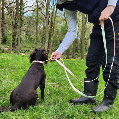 The Mabel Dog Lead Pastel Pink and Mint Green- front with clasp functions