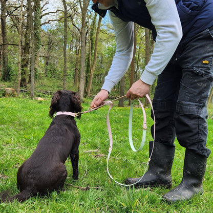 The Mabel Dog Lead Pastel Pink and Mint Green- front with D ring options