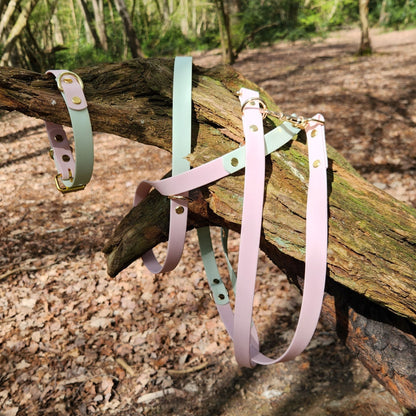 The Mabel Dog Lead Pastel Pink and Mint Green- front with matching collar