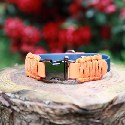 Norman clasp dog collar navy and orange - Front