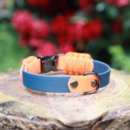 Norman clasp dog collar navy and orange - Back D-Ring