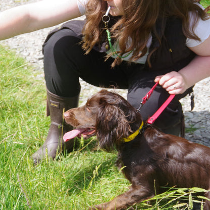 The Henry Traffic Handle Burgundy - Side modelled by dog and handler