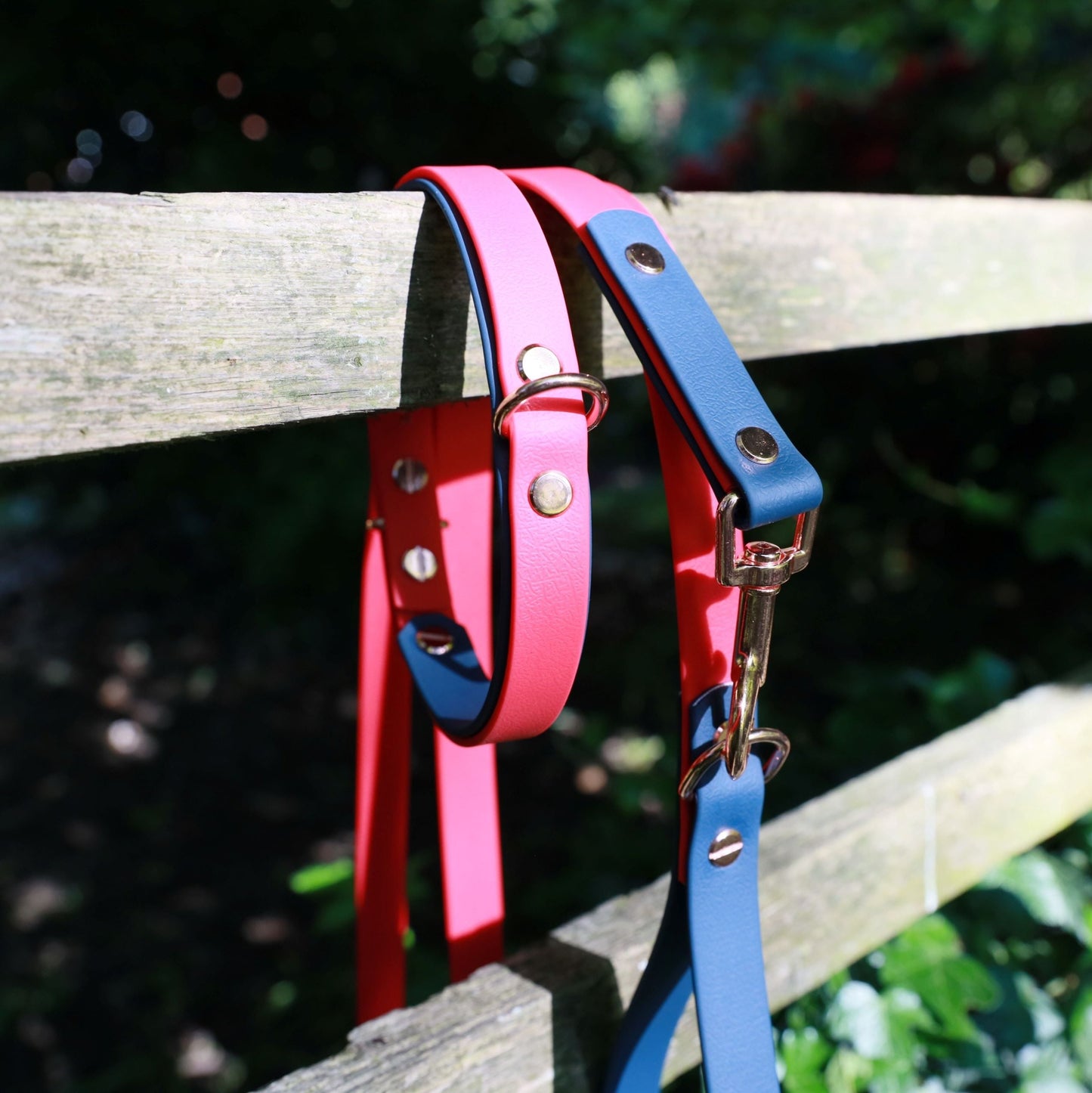 Walter Dog Collar Navy and Deep Pink with Matching Dog Lead - Back D-Ring