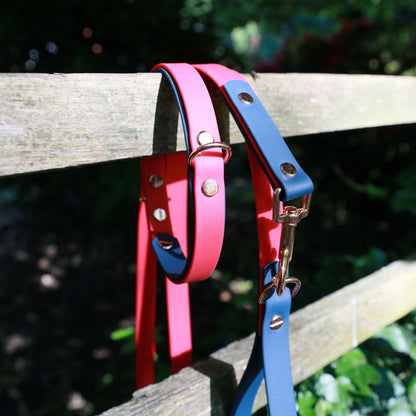 Walter Dog Collar Navy and Deep Pink with Matching Dog Lead - Back D-Ring