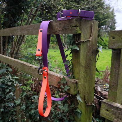 The Winnie Dog Lead Purple and Orange - handle and clasp with matching collar