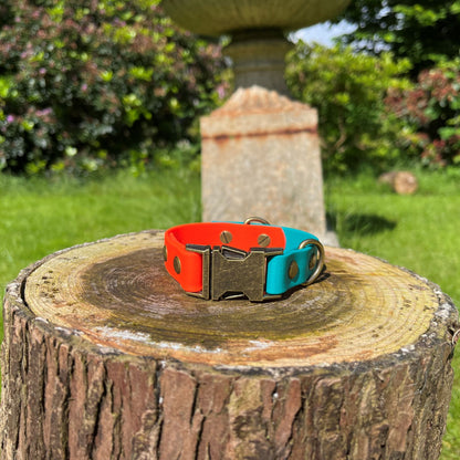 Mabel clasp dog collar orange and aqua - Front