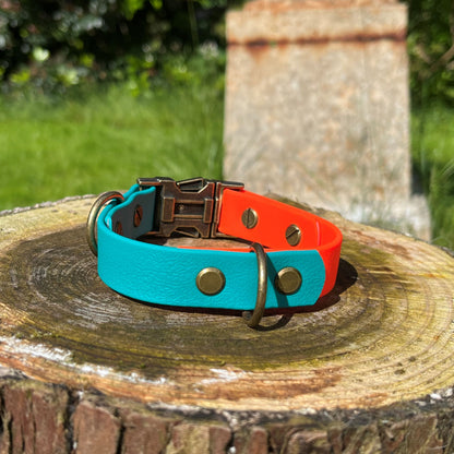 Mabel clasp dog collar orange and aqua - Back D-Ring