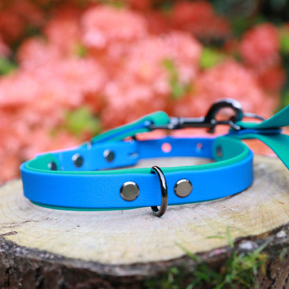 Walter Dog Collar Blue and Aqua - Back D-Ring