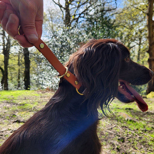 Willow Dog Slip Collar - Apricot and Dark Brown - Side grab section worn by dog and held by owner