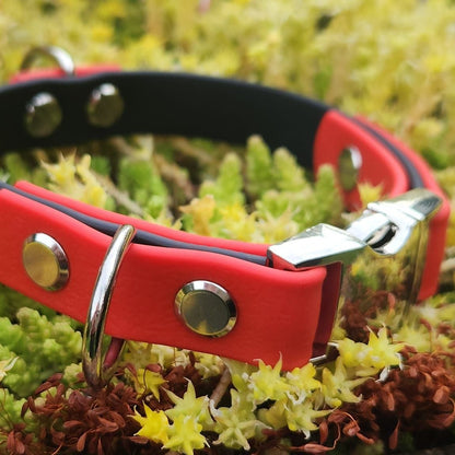 Winnie clasp dog collar black and red - side