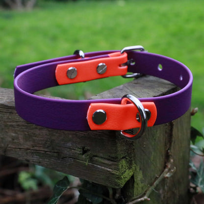 Winnie Dog Collar orange and bright purple - Back D-Ring