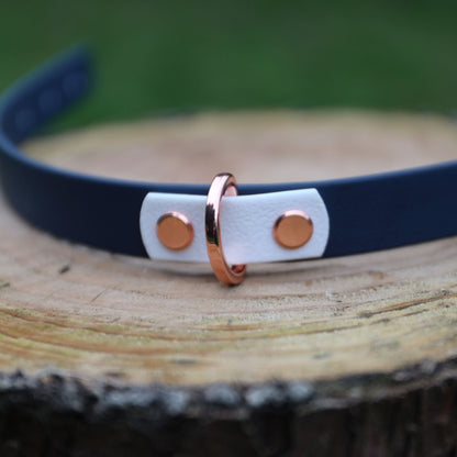 Winnie Dog Collar Navy and White - Back D-Ring