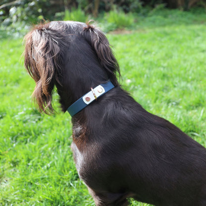 Winnie Dog Collar Navy and White - Back D-Ring worn by dog